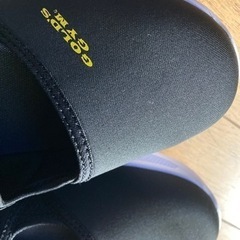 ゴールドジム　　の画像