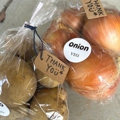 【無農薬野菜】じゃがいも 玉ねぎセット ¥400の画像