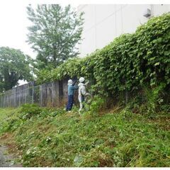 住宅・空地の草刈・伐木　(大・中・小規模可)