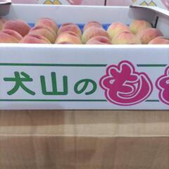 犬山の桃　日川白鳳　25個入の画像