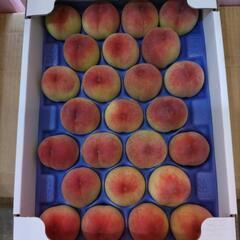 犬山の桃　日川白鳳　25個入の画像