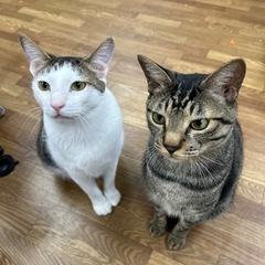 仲良し♡穏やか♡人馴れ♡