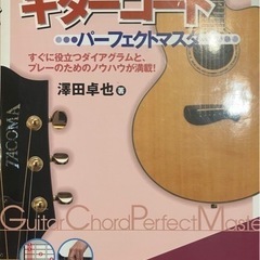 楽器 弦楽器、ギター