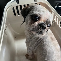決まりました。