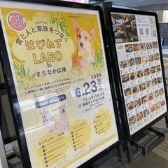 はぴねすLABO Vo.7 開催！！！inまちなか広場 - 都城市