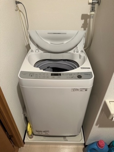 家電 生活家電 洗濯機