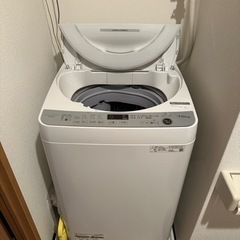 家電 生活家電 洗濯機