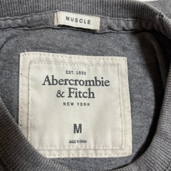 アバクロ　【再々値下げ！】Abecrombie Ｔシャツ　グレー　メンズMの画像