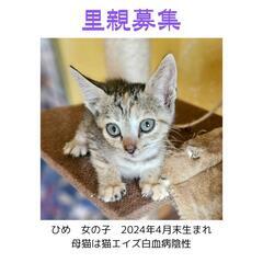 4月初め頃生まれ女の子男の子