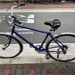 🚴エレクトラ ティシーノ７sの画像