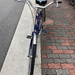 🚴エレクトラ ティシーノ７sの画像