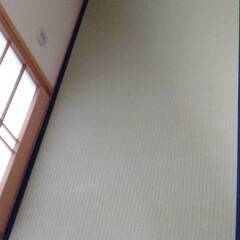 和紙畳、6枚無料　３年前に表替え済の画像