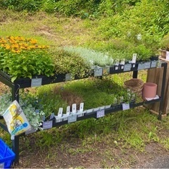寄せ植え　無人販売　花　苗　ガーデニング　フラワー　アレンジの画像