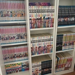 家具 収納家具 本棚