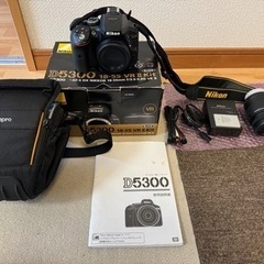 家電 カメラ デジタル一眼の画像