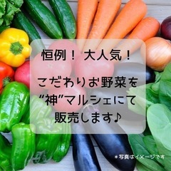 大人気‼️お野菜販売@“神”マルシェ