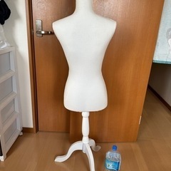 トルソー