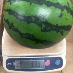 美味しいスイカ3kg以上