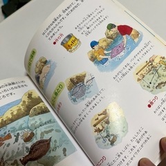 子供本　アウトドア攻略　遊びガイド　　の画像