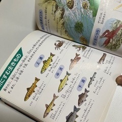 子供本　アウトドア攻略　遊びガイド　　の画像