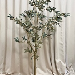 東京堂　フェイクグリーン オリーブツリー　150cm　の画像