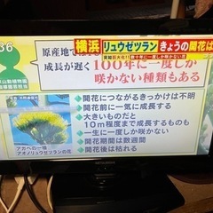 激安‼️家電 テレビ 液晶テレビ‼️有ります。
