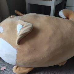 ワンちゃんのぬいぐるみの画像