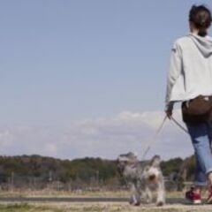 市川市のペットシッター、散歩代行、ペット介護は経験豊富なシッター...