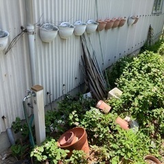 植木鉢多数あげます　生活雑貨 家庭用品 ガーデニング