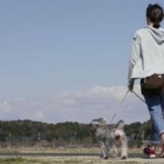 葛飾区のペットシッター、散歩代行、ペット介護は経験豊富なシッター...