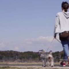 ペットシッターintopetグループ | 秋田県