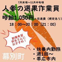 【日払い・週払い可】日勤の残業部隊募集中！！短時間の人参選別作業...