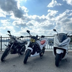 vtz250の画像
