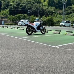 vtz250の画像