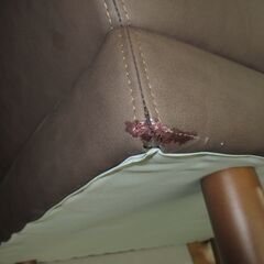 行器(ほかい) 江戸時代儀礼贈答に食物(饅頭、餅、菓子)容器 漆塗り金