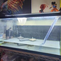 水槽 90cm 大型魚 熱帯魚