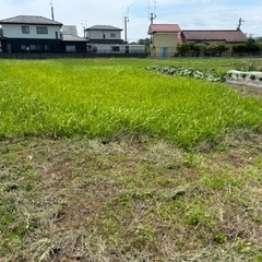 貸地　年間7万5千円　農業用地