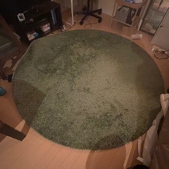 ニトリ　丸型ラグマット　緑の画像