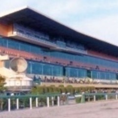 6/29（土）船橋競馬　初心者歓迎！！ - 船橋市