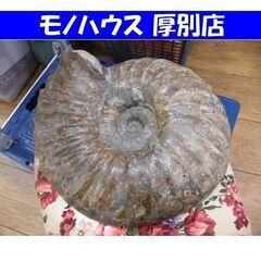 アンモナイト 化石 観賞用 石 横幅 約40cm 重量 約35K...