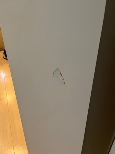 家具 照明器具