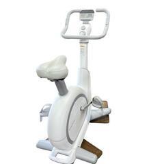 フジモリ(FUJIMORI)　Snailcle Bike スネイルクルの画像