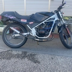 ウルフ50