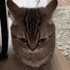 弓道サークル