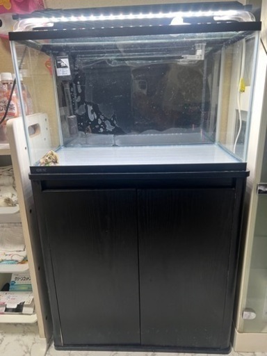 【超美品】60cm水槽フルセット