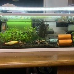 生活雑貨 家庭用品 ガーデニング