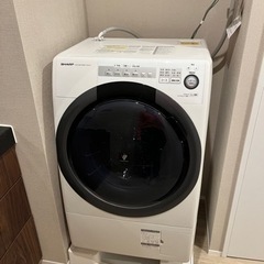 家電 生活家電 洗濯機