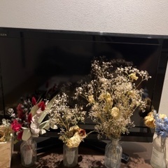 テレビ