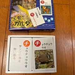 お魚カルタ
