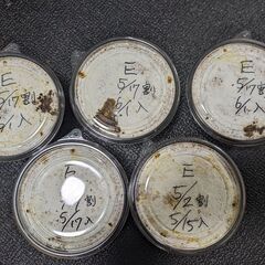 【お取引中】能勢SR血統　初二齢幼虫5頭　国産オオクワガタE